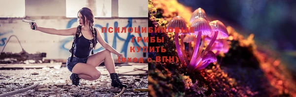 амф Богданович