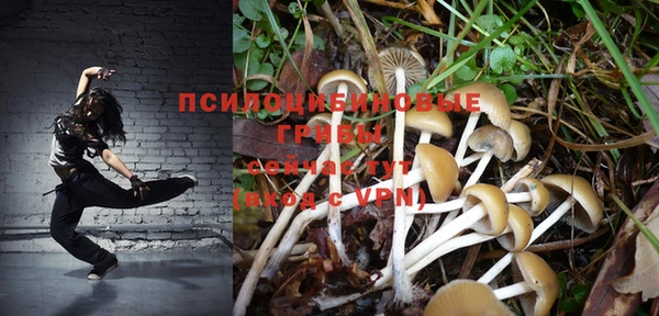 a pvp Беломорск
