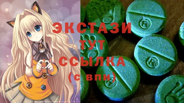 молекула духа Богородицк