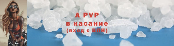 молекула духа Богородицк
