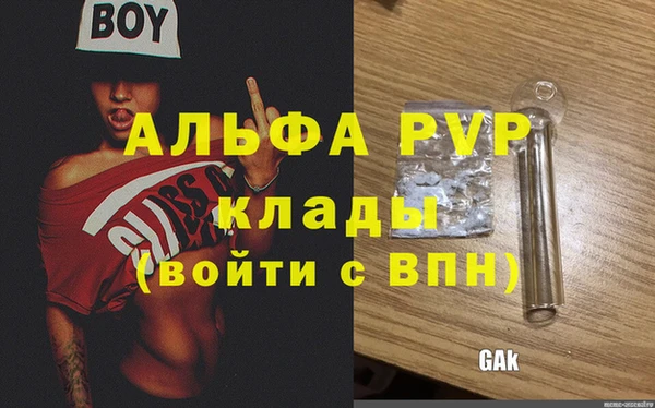 амф Богданович
