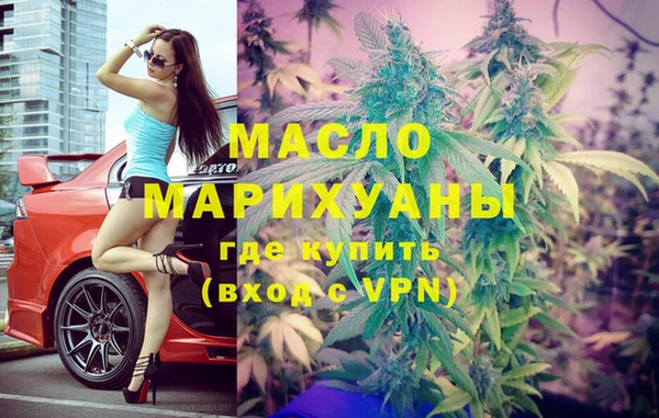 молекула духа Богородицк