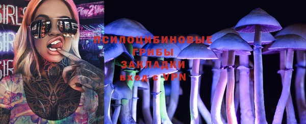 амф Богданович