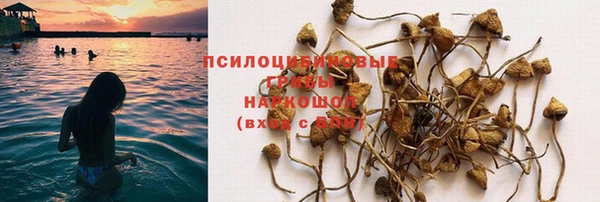 молекула духа Богородицк