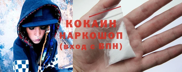 молекула духа Богородицк