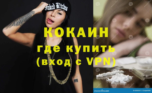 молекула духа Богородицк